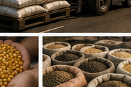 Agricultural storage facilities